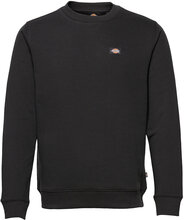 Oakport Sweatshirt Designers Sweatshirts & Hoodies Sweatshirts Black Dickies