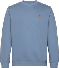 Oakport Sweatshirt Designers Sweat-shirts & Hoodies Sweat-shirts Blue Dickies