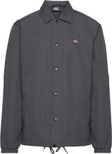 Oakport Coach Jacket Designers Jackets Light Jackets Grey Dickies