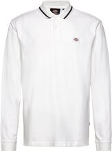 Tallasee Polo Designers Polos Long-sleeved White Dickies