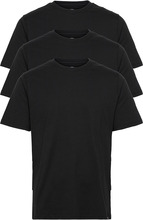 Dickies Tsht Pk Designers T-shirts Short-sleeved Black Dickies