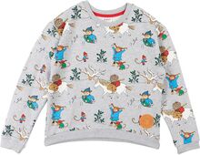 Winter Pippi Sweatshirt Tops Sweatshirts & Hoodies Sweatshirts Grey Martinex
