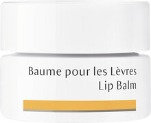 Lip Balm Läppbehandling Nude Dr. Hauschka