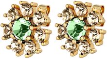 Aude Sg L.green/Golden Accessories Jewellery Earrings Studs Green Dyrberg/Kern
