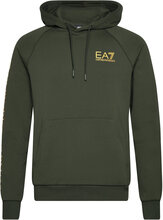 Jerseywear Tops Sweatshirts & Hoodies Hoodies Khaki Green EA7