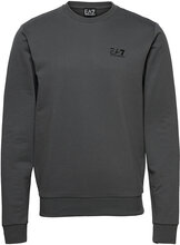 Jerseywear Sweat-shirt Genser Grå EA7*Betinget Tilbud