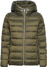 Quilted Jacket With 3M™ Thinsulate™ Padding Fôret Jakke Grønn Esprit Casual*Betinget Tilbud