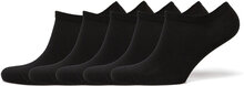 Bamboo Solid Ankle Sock Lingerie Socks Footies/Ankle Socks Svart Frank Dandy*Betinget Tilbud