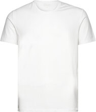 Bamboo Tee Tops T-shirts Short-sleeved White Frank Dandy