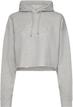 Isoli Designers Sweatshirts & Hoodies Hoodies Grey Ganni