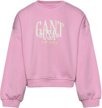Gant Usa Voluminous C-Neck Sweat-shirt Genser Rosa GANT*Betinget Tilbud