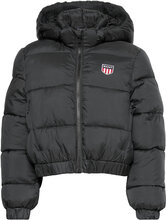 D1. Gant Retro Shield Puffer Fôret Jakke Svart GANT*Betinget Tilbud