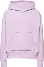 Our Alice Hood Sweat Tops Sweatshirts & Hoodies Hoodies Purple Grunt