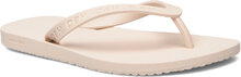 Flip Flop Shoes Summer Shoes Sandals Flip Flops Cream H2O