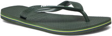 Hav. Brasil Logo Shoes Summer Shoes Sandals Flip Flops Khaki Green Havaianas