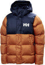 Jr Vision Puffy Jacket Sport Jackets & Coats Puffer & Padded Brown Helly Hansen