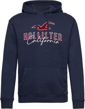 Hco. Guys Sweatshirts Tops Sweatshirts & Hoodies Hoodies Navy Hollister