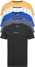 Hco. Guys Knits T-shirts Short-sleeved Multi/mønstret Hollister*Betinget Tilbud