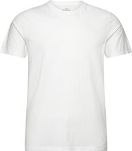 Hco. Guys Knits Tops T-Kortærmet Skjorte White Hollister