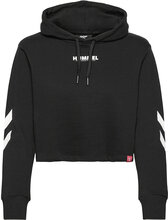 Hmllegacy Woman Cropped Hoodie Sport Sweatshirts & Hoodies Hoodies Black Hummel
