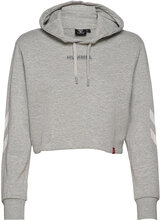 Hmllegacy Woman Cropped Hoodie Hettegenser Genser Grå Hummel*Betinget Tilbud