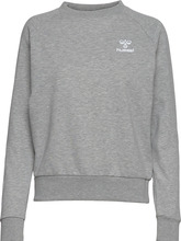 Hmlnoni 2.0 Sweatshirt Sweat-shirt Genser Grå Hummel*Betinget Tilbud