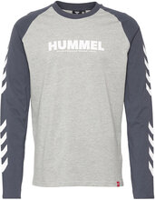 Hmllegacy Blocked T-Shirt L/S T-shirts & Tops Long-sleeved Multi/mønstret Hummel*Betinget Tilbud