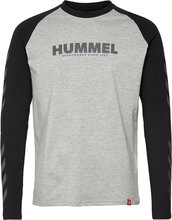 Hmllegacy Blocked T-Shirt L/S T-shirts & Tops Long-sleeved Grå Hummel*Betinget Tilbud