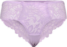 Shiloh Brazilian Sh R Lingerie Panties Brazilian Panties Purple Hunkemöller