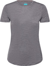 Women Merino 125 Cool-Lite™ Sphere Iii Ss Tee Sport T-shirts & Tops Short-sleeved Grey Icebreaker