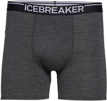 Men Anatomica Boxers Boxershorts Grey Icebreaker