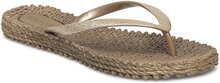 Flip Flop With Glitter Shoes Summer Shoes Sandals Flip Flops Brown Ilse Jacobsen
