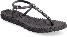 Flip Flops With Rhinst S Shoes Summer Shoes Sandals Flip Flops Black Ilse Jacobsen