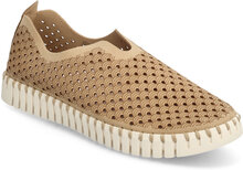 Flats Sneakers Brown Ilse Jacobsen