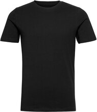Jjeorganic Basic Tee Ss O-Neck Noos Tops T-shirts Short-sleeved Black Jack & J S