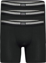 Boxer Trunk 3-P Boxerkalsonger Black Jockey