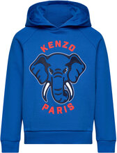 Hooded Sweatshirt Tops Sweatshirts & Hoodies Hoodies Blue Kenzo