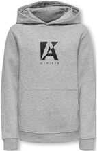 Kobnorman L/S Project Hoodie Swt Tops Sweat-shirts & Hoodies Hoodies Grey Kids Only