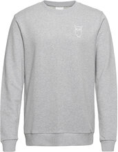 Elm Small Print Owl Sweat - Gots/Ve Sweat-shirt Genser Grå Knowledge Cotton Apparel*Betinget Tilbud