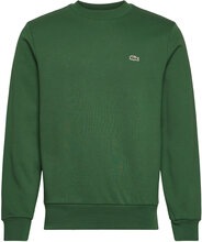 Sweatshirts Tops Sweat-shirts & Hoodies Sweat-shirts Green Lacoste