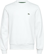 Sweatshirts Tops Sweat-shirts & Hoodies Sweat-shirts White Lacoste