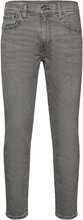 502 Taper Whatever You Like Bottoms Jeans Tapered Grey LEVI´S Men