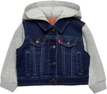 Levi's® Hooded Trucker Jacket Outerwear Jackets & Coats Denim & Corduroy Blue Levi's
