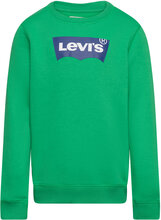 Levi's® Batwing Crewneck Sweatshirt Tops Sweat-shirts & Hoodies Sweat-shirts Green Levi's