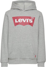 Levi's® Screenprint Batwing Pullover Hoodie Tops Sweat-shirts & Hoodies Hoodies Grey Levi's
