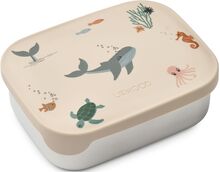 Arthur Printed Lunchbox Home Meal Time Lunch Boxes Cream Liewood