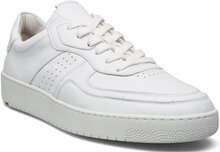 Arel Low-top Sneakers White Lloyd