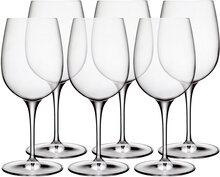 Rødvinsglas Palace Home Tableware Glass Wine Glass Red Wine Glasses Nude Luigi Bormioli