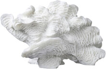 Coral, Large Fan Home Decoration Decorative Accessories-details Porcelain Figures & Sculptures White Mette Ditmer