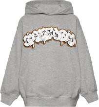 Maxx Tops Sweatshirts & Hoodies Hoodies Grey Molo